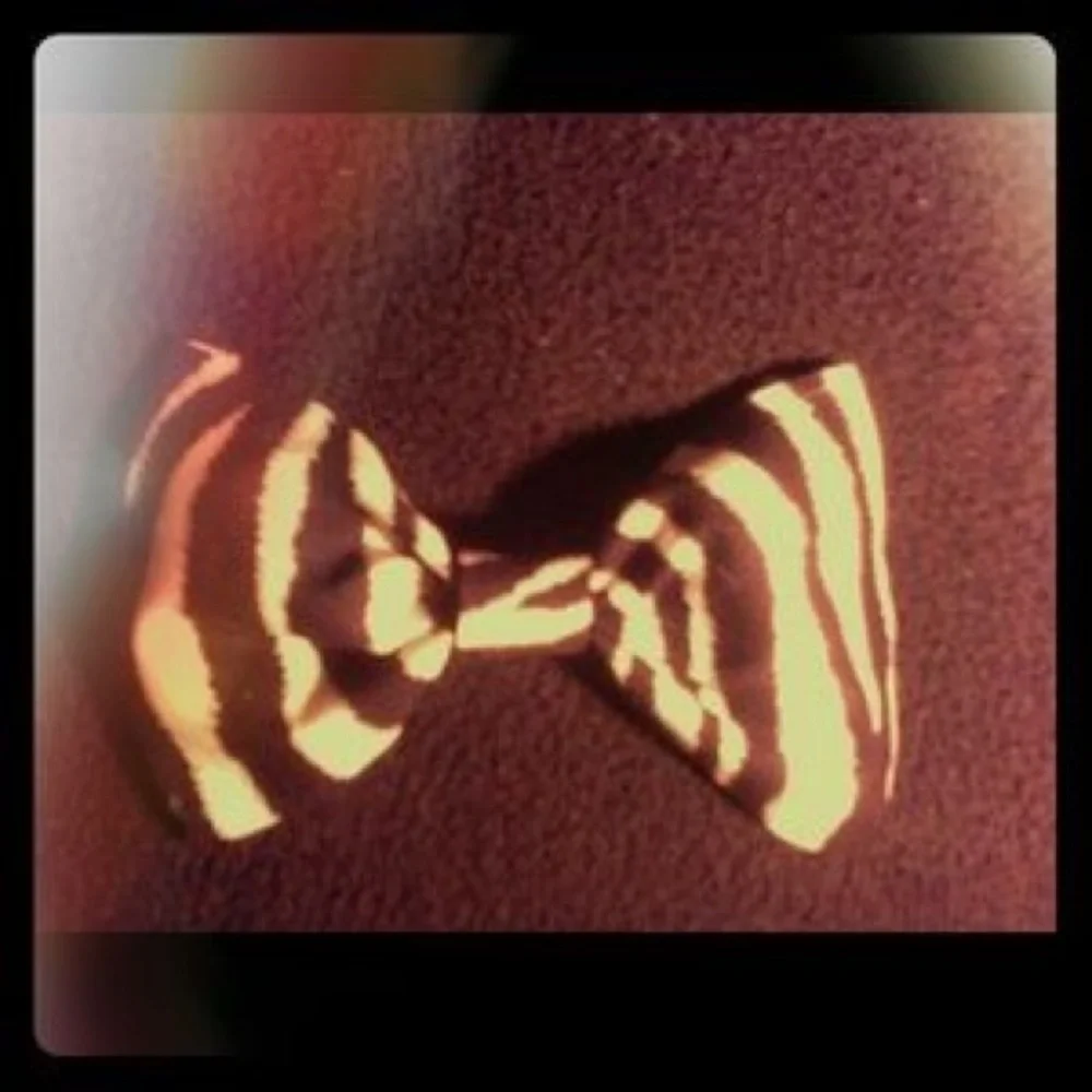 Animal Print Bow Tie Set for Kids